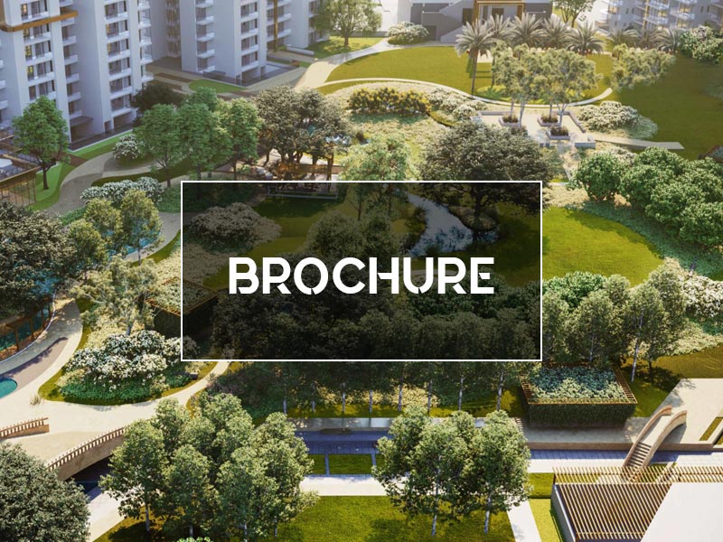 Whiteland Aspen Iconic brochure