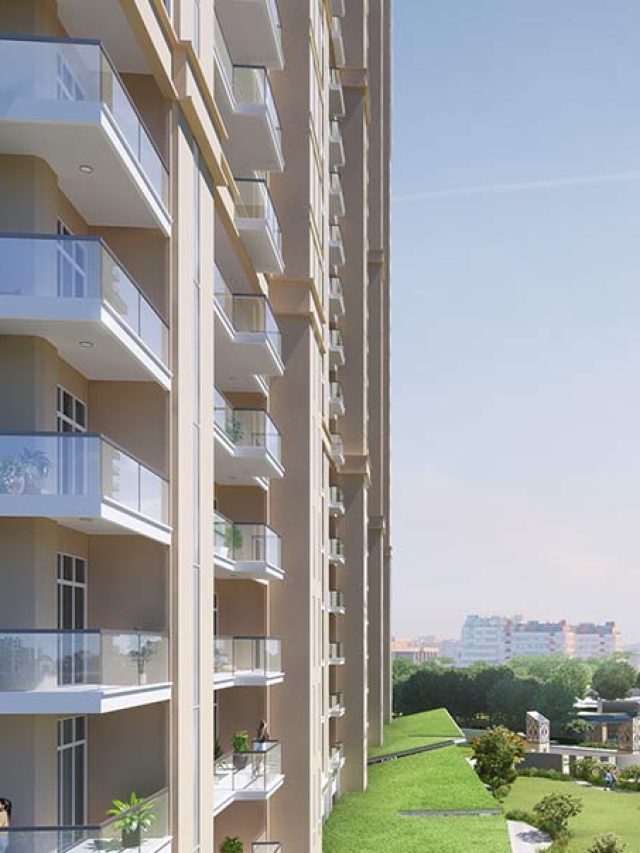 whiteland gurgaon